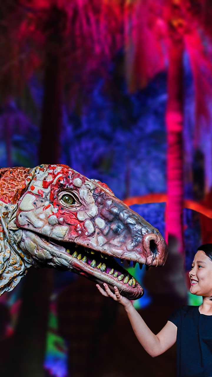 Step back in time and into the Mesozoic Era to a land where puppets, lights and dinosaurs collide.